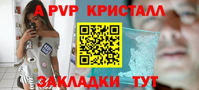 спиды Будённовск