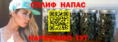 спиды Будённовск
