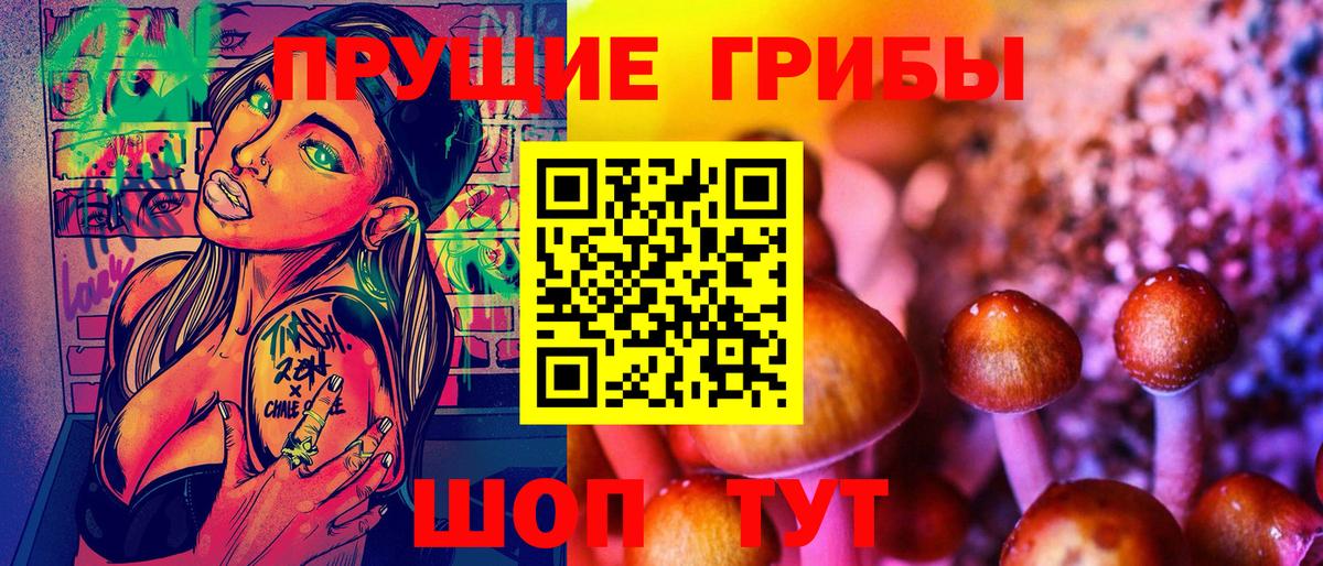 Псилоцибиновые грибы ЛСД  Вход с VPN  Заинск 